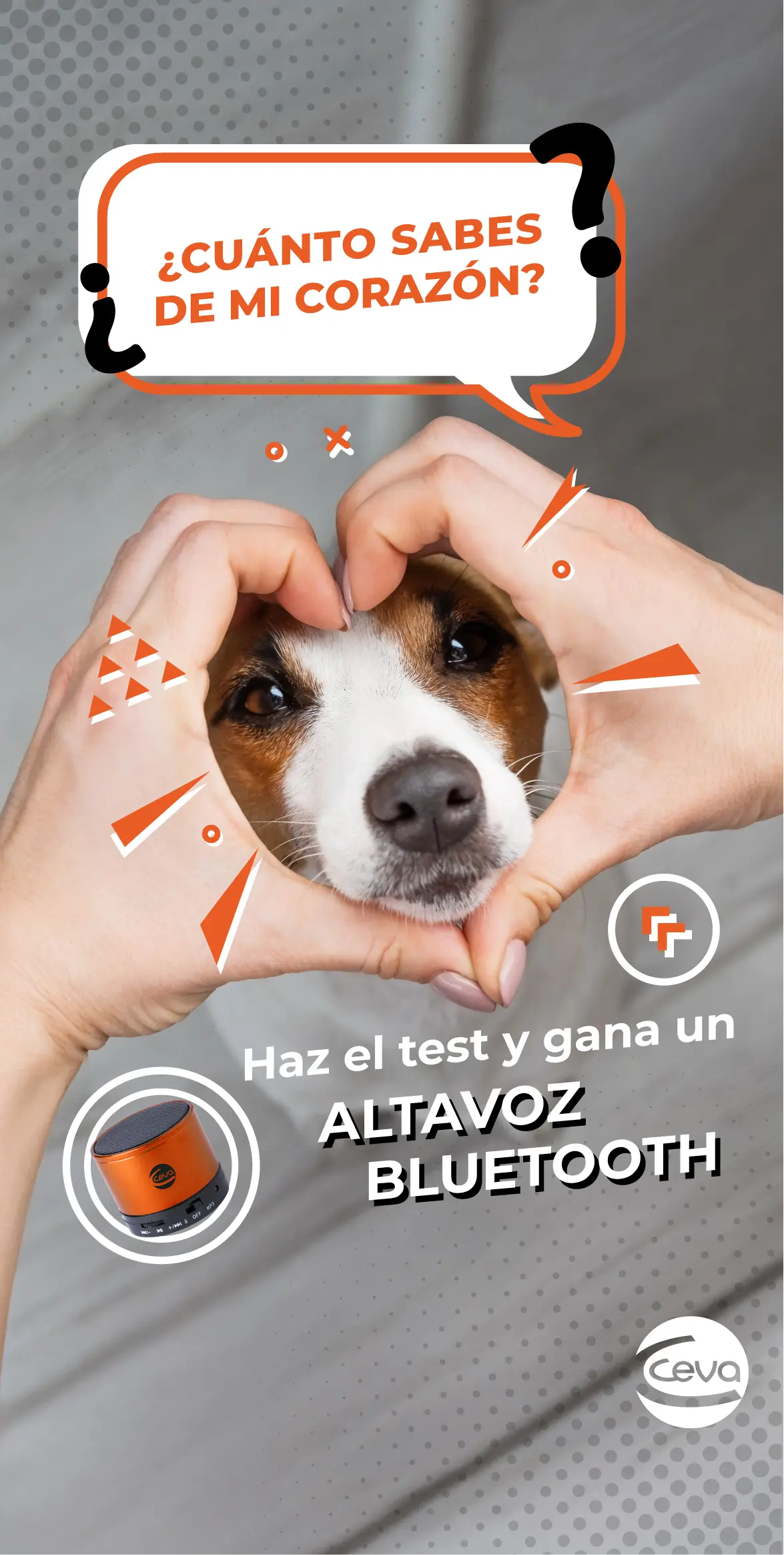 ¿Cuánto sabes de mi corazón?