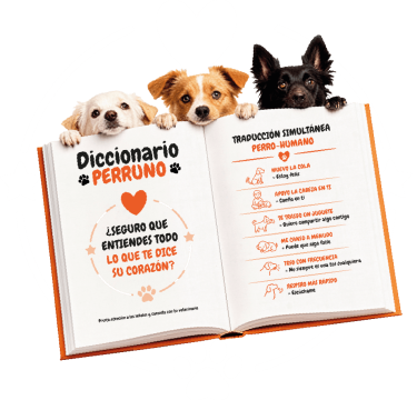 diccionario-perruno